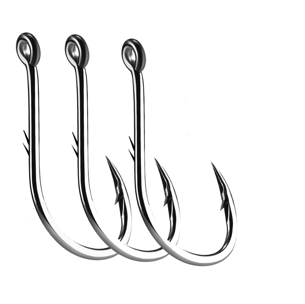 50pcs Iseama Circle Carp Eyed  - مراجعة Fishing Hook Circle وسعره