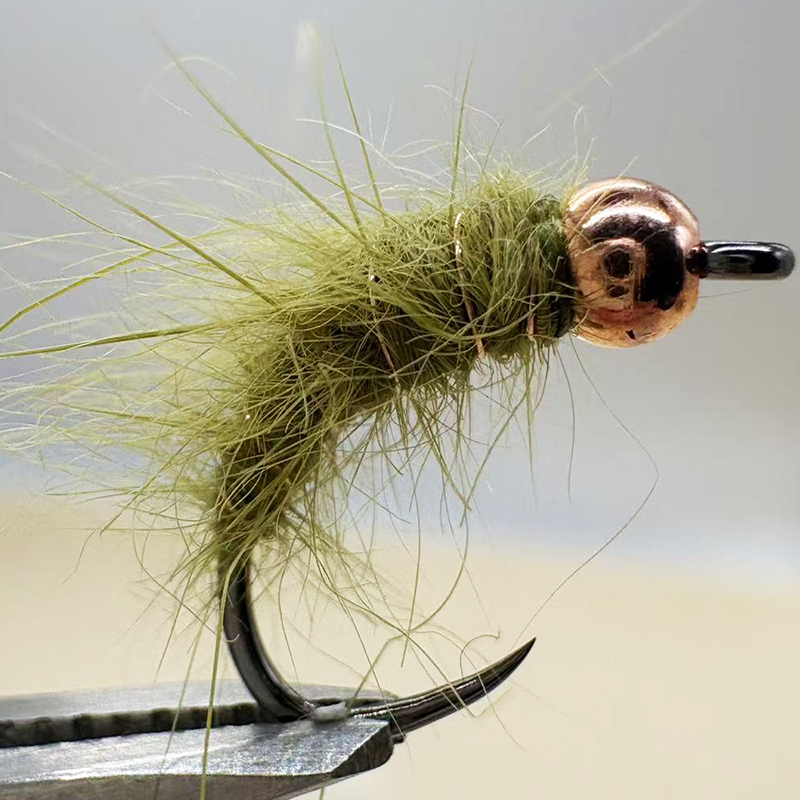 5PCS Fly Fishing Nymphs Wet Fl - مراجعة Fishing Hook Barbless وسعره
