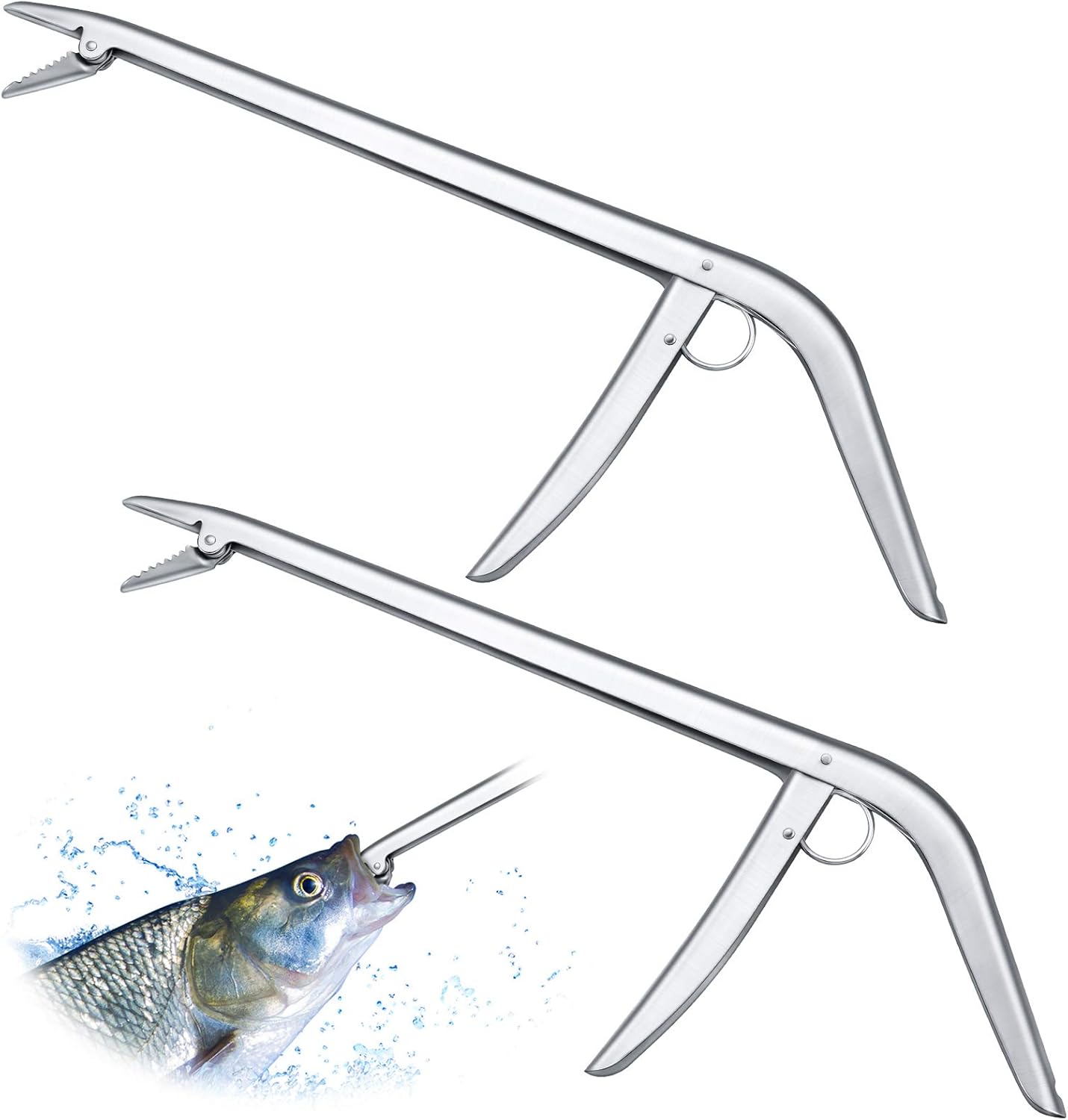 2 Pieces Stainless Steel Fish  - مراجعة Fishing Hook وسعره
